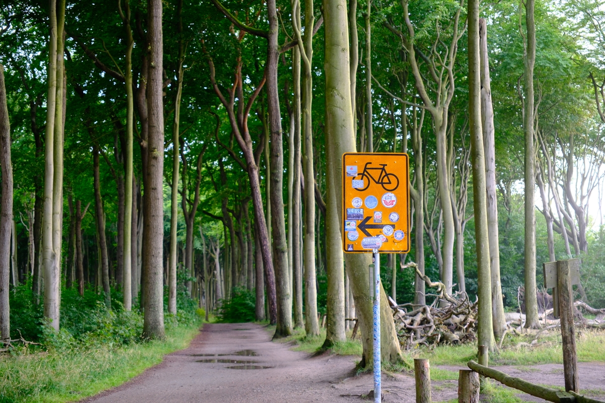 Dein Traumurlaub, ganz ohne Reisestress